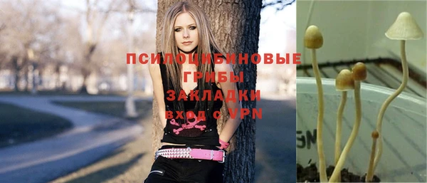 mdpv Бикин