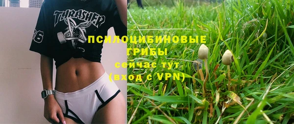 прущий лед Аркадак